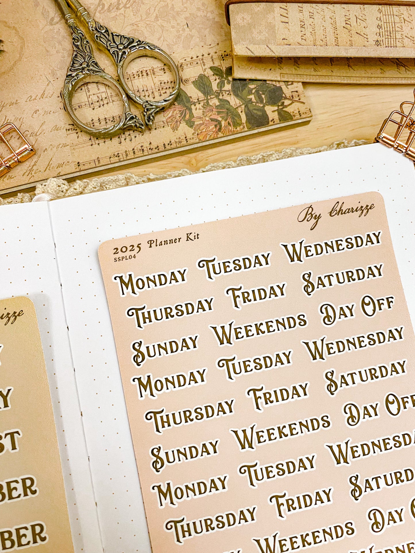 2025 Planner Sticker Sheet - Days of the Week